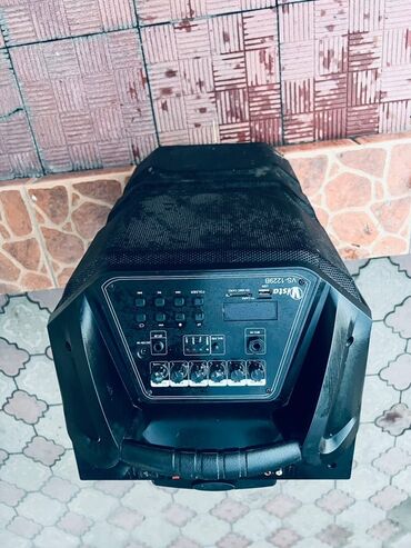 портативные колонки divoom: Портативная акустическая система VIST VS-1226B - Форм-фактор