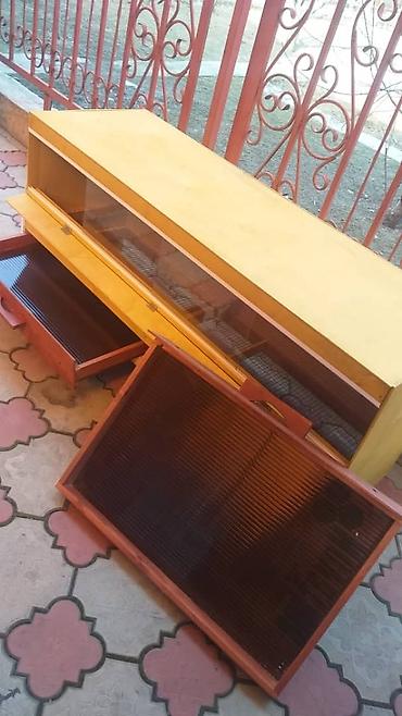 Птицы: Брудеры для цыплят. размеры 150 х 50 х 65 см. Яйцо Брама — 6