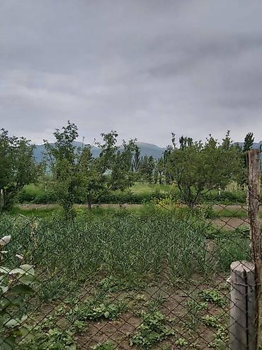 Продажа коттеджей и домов: Продается 5 к большой дом с большим огородом и 2 гектар земельнного — 8