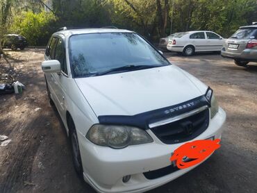 spojler honda: Honda Odyssey: 2002 г., 3 л, Автомат, Бензин, Минивэн