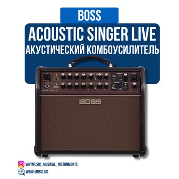 концерты бишкек 2021: Акустический комбоусилитель Roland Acoustic Singer Live LT Roland