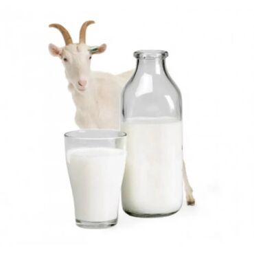 Козы, козлы: Козье молоко. Нубийских коз. Цена 150сом