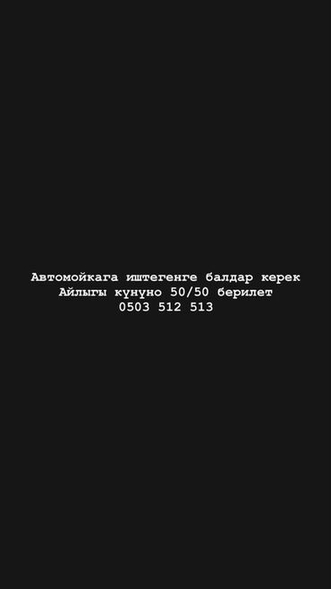 удаленная работа без опыта и вложений с ежедневной оплатой: Автомойке требуются сотрудники. Оплата труда: 50% от выручки