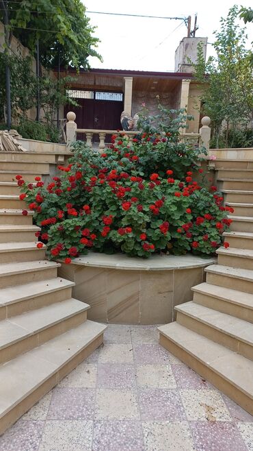 Həyət evləri və villaların satışı: Qaraçuxur qəs. 8 otaq, 220 kv. m, Kredit var, Orta təmir — 23