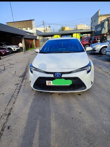 тойота левин 2018: Toyota Corolla: 2019 г., 1.8 л, Вариатор, Гибрид, Седан