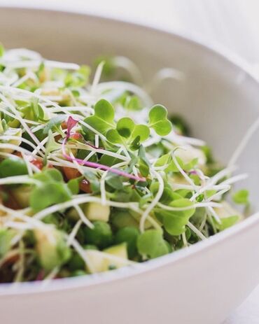 заказ салаты: Микрозелень,для вашего здоровья 🌱 Микрозелень можно использовать для