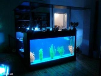 akvarium lampa: Akvarium-şkaf, 1000 l — 7