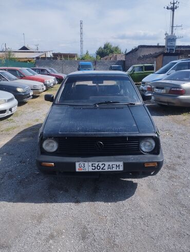 Volkswagen: Volkswagen Golf: 1989 г., 1.8 л, Механика, Бензин