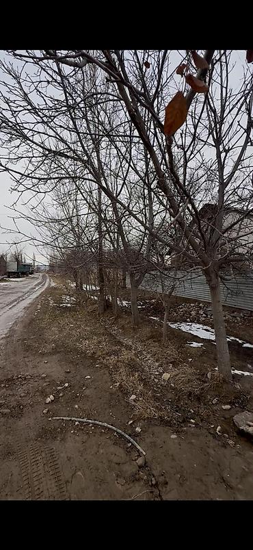 Продажа коттеджей и домов: Окуу жана окуу ❗ жакшы бада жер үй сатылат адрес Жалал-Абад шаарында — 21