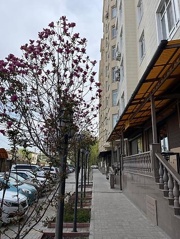 Продажа квартир: 2 комнаты, 68 м², Элитка, 8 этаж, Евроремонт — 2