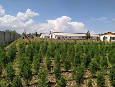 Сверление, бурение: Бурение скважин Больше 6 лет опыта — 8