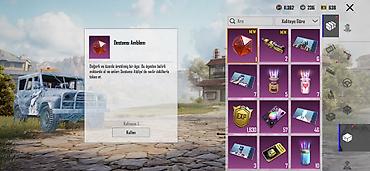 10line loto 4: PUBG Mobile oyun hesabı üçün nadir kosmetik kolleksiya 73 seviye — 6