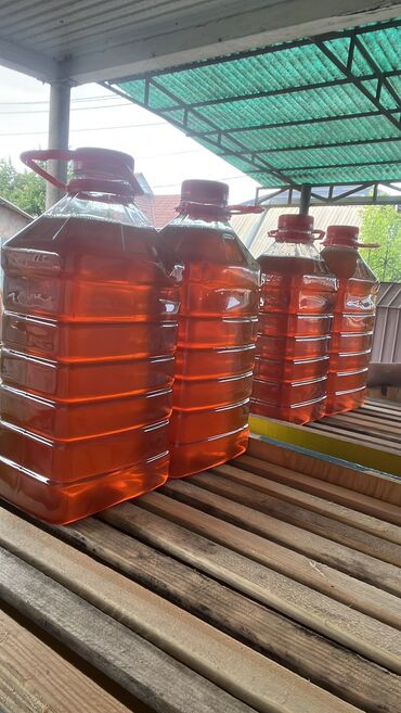 балдар менен жатам москва: Токтогульский мёд высокогорный Продукт чистый натуральный имеется