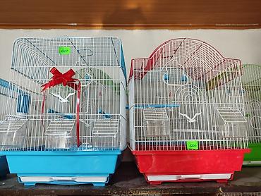 Зоотовары: Клетки для птиц и грызунов! — 7