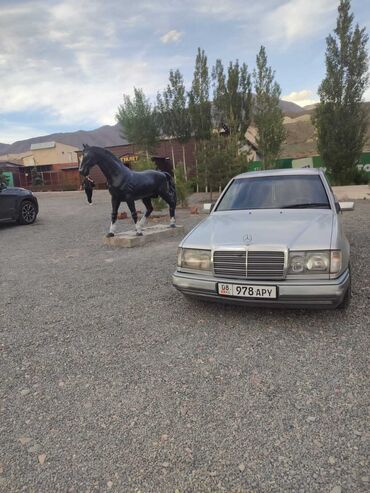 Mercedes-Benz: Mercedes-Benz W124: 1995 г., 2.2 л, Автомат, Бензин, Седан