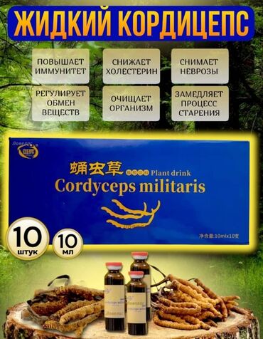 биоцинк для мужчин бишкек: Жидкий кордицепс Cordyceps Militaris Plant Drink натуральный препарат