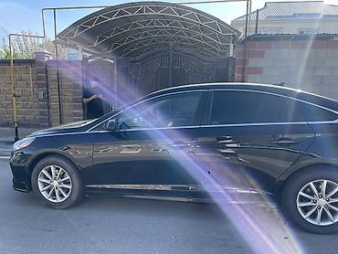 sonata 2011: Hyundai Sonata: 2019 г., 2.4 л, Автомат, Бензин, Седан — 7