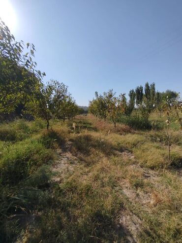 Продажа домов: Дом, 96 м², 5 комнат, Собственник — 2