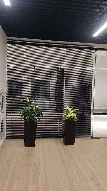 Жалюзи и рольшторы: Горизонтальные жалюзи на окна - Тип: классические горизонтальные — 7