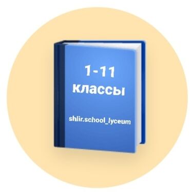 Репетиторы школьной программы: Принимаем учащихся в 1-11 классы! Частная Школа-Лицей