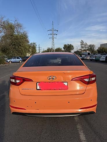 sonata 2012: Hyundai Sonata: 2019 г., 2 л, Автомат, Газ, Седан — 5