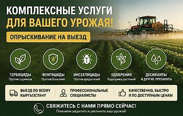 мед бишкек: Дезинфекция, дезинсекция — 3