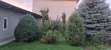 продаю участок ыссык кол: 5 комнат, 110 м², 6 соток, Кок-Джар, Собственник — 10
