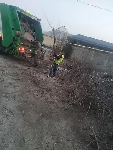 Уборка территории: Уборка территории, Уборка двора и сада — 11