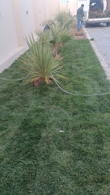 Toxumlar: Qazon çatrlma qurasdrma
#qazon
qazonsatişi
#qachon
#qazon — 10