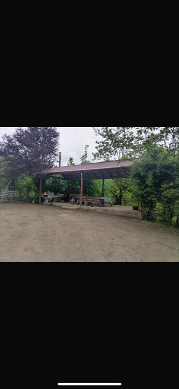 Günlük kirayə evlər: 200 kv. m, 5 otaqlı, Qaz, İşıq, Su — 7