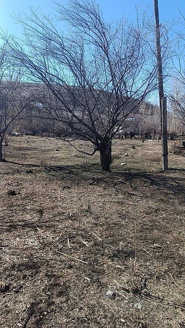 Продажа участков: 17 соток, Для строительства — 10