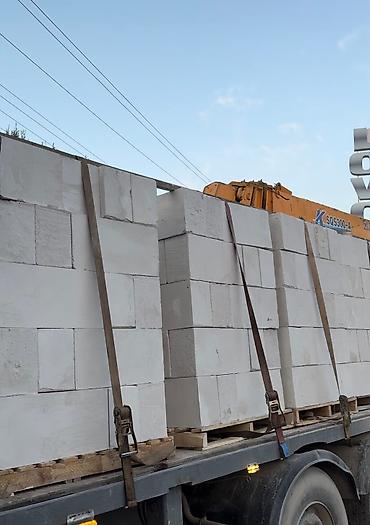 3д сетки: Газоблок, Неавтоклавный, 600x200x300, D600 — 6
