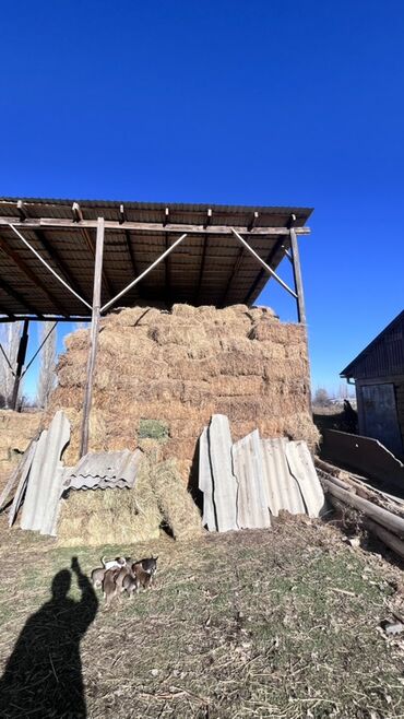 Корма для с/х животных: Сено в тюках - Формат: прямоугольные тюки, плотная перевязка — 11
