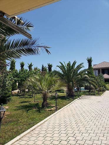 bina: Ayin 20 sinden bosdur bag evimiz — 1