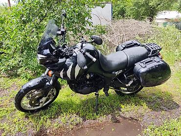 range over: Мотоцикл тур-эндуро Triumph Tiger 955i 2003год Пробег: 20396 В — 5
