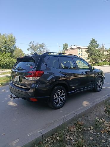 forester 2022: Subaru Forester: 2019 г., 2.5 л, Бензин, Кроссовер — 7