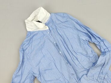 zara basic t shirty: Easy Wear, Women`s shirt, size L (EU 40)
