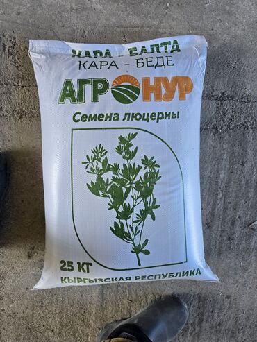 Кормовые растения: Семена кормовых растений: Эспарцет, Самовывоз, Платная доставка — 4