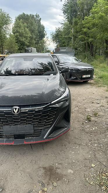 android avto: Русификация авто, Китай, Changan — 2