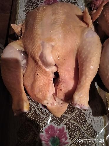 кости куриные: Домашние тушки кур от 1.8 до 3кг - Целые потрошёные тушки, без головы — 2