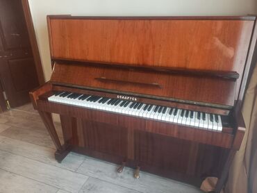 Salon, tibbi kreslolar: Piano, Rəqəmsal