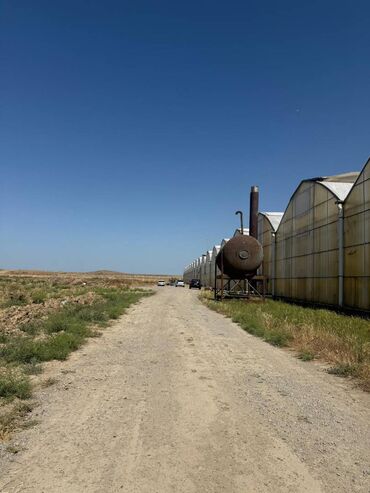 Kommersiya daşınmaz əmlakının satışı: Satılır: 10 hektar çıxarışlı torpaq – müasir istixana və kəsim sahəsi — 2