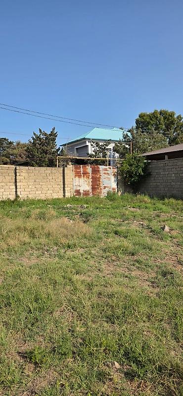 bine atciliqda torpaq: 50 sot, Tikinti, Mülkiyyətçi, Kupça (Çıxarış) — 2