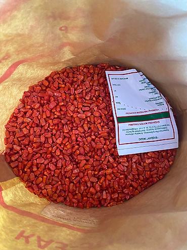 Пшеница: Жугору урук кукуруза 🌽 беде Арпа урук сулуу оптом достовка бар — 14