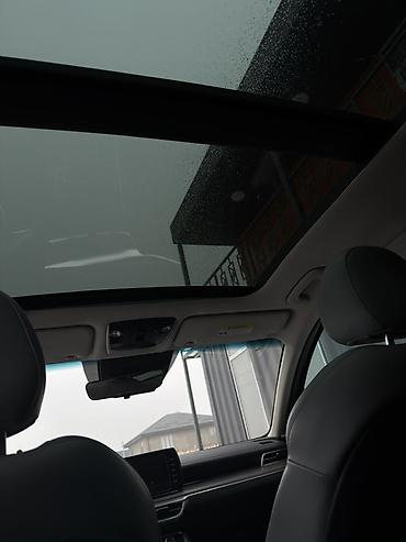 Kia: Kia K5: 2022 г., 1.6 л, Автомат, Бензин, Седан — 13