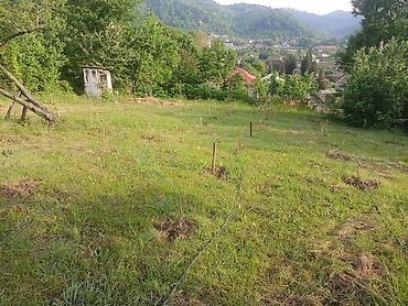 qobuda ucuz torpaqlar: 5 sot, Tikinti, Mülkiyyətçi, Kupça (Çıxarış) — 1
