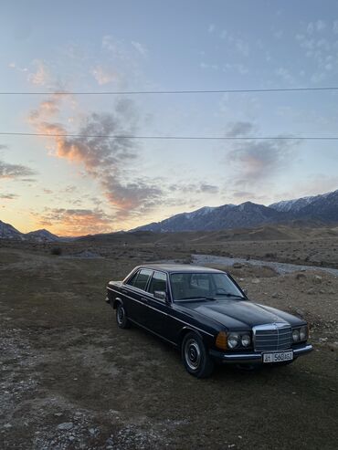 Mercedes-Benz: Mercedes-Benz W123: 1983 г., 2.3 л, Механика, Бензин