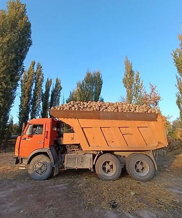полик на камаз: Грузовик, Камаз, Б/у — 3