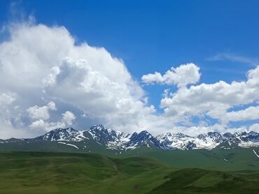 частный репетитор подготовка к школе: Услуги переводчика, Английский
