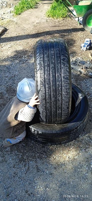 Шины: Шины — 13